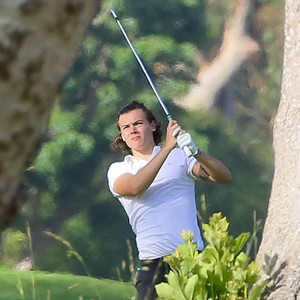 Harry Styles ***PAY $250 PER USE***